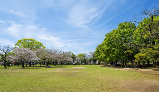 宮崎中央公園（テニスコートを除く）